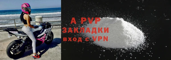 крисы Дмитров