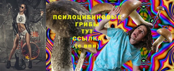 крисы Дмитров