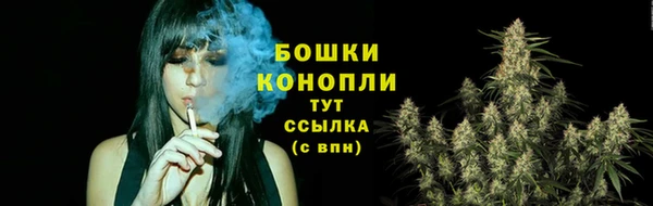 крисы Дмитров