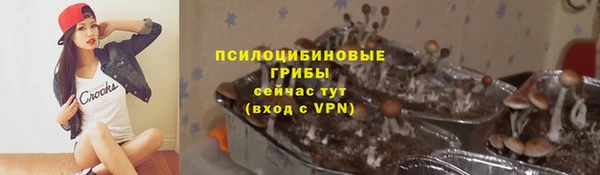 крисы Дмитров