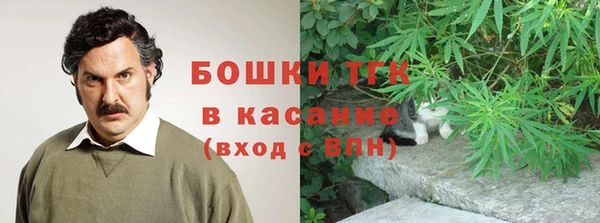 крисы Дмитров